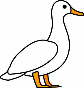 Duck1