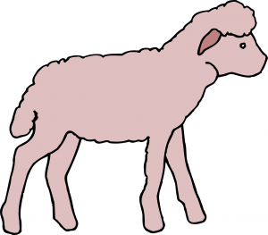 Lamb1