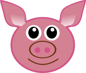 Pink pig 2