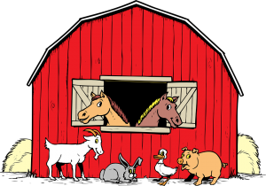 Animals in the Barn