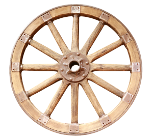 The Evolution of the Wheel