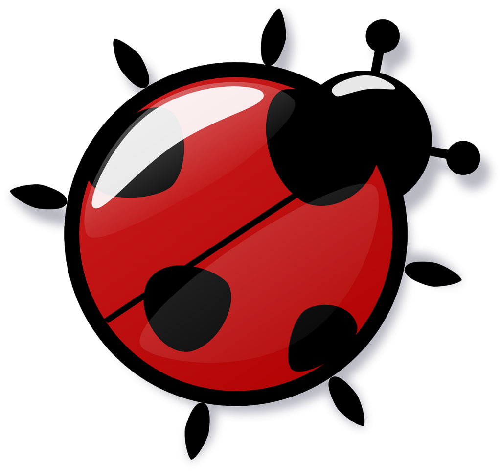The History of Ladybug Ladybug